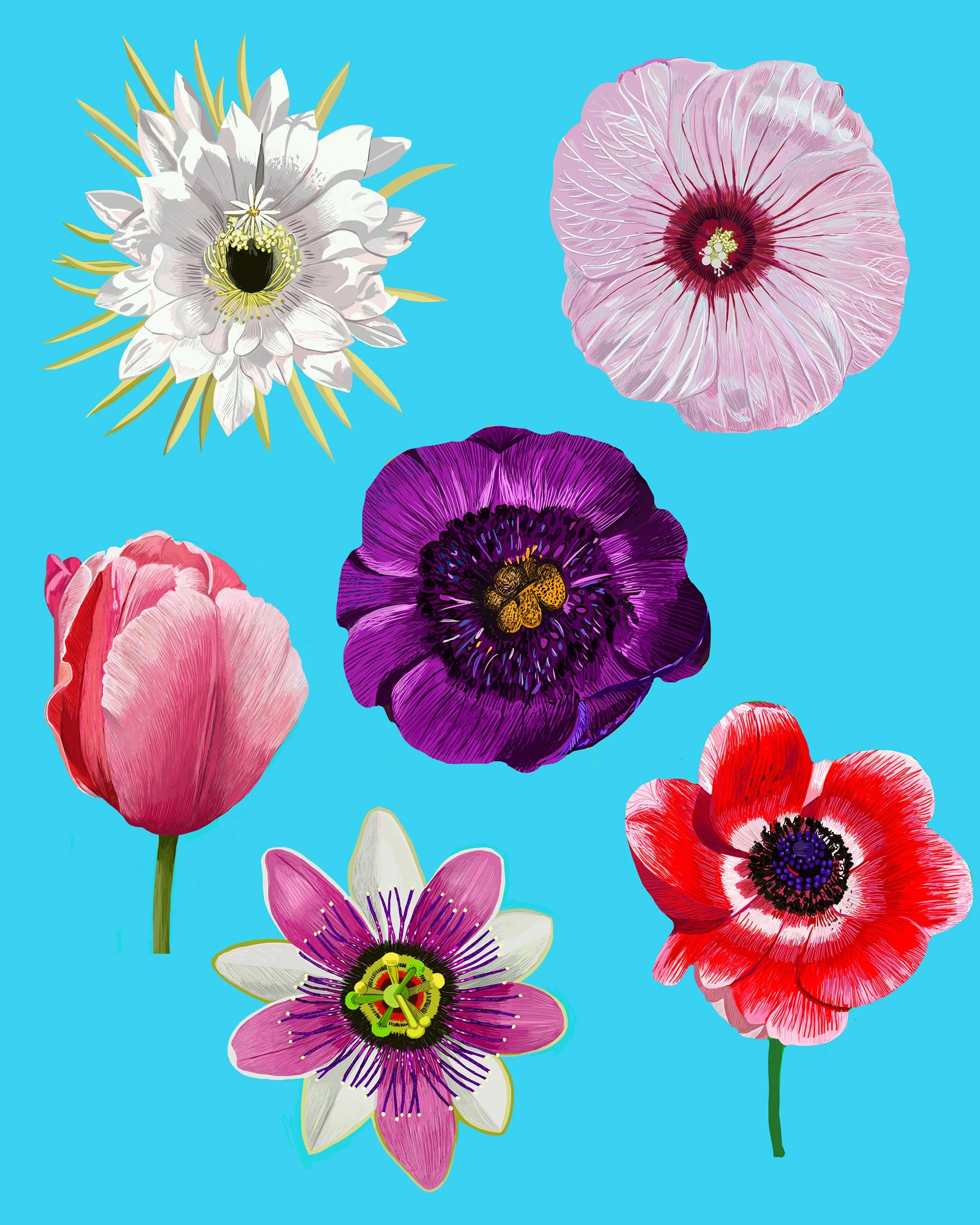 PAGEFLOWERSSQSP.jpg