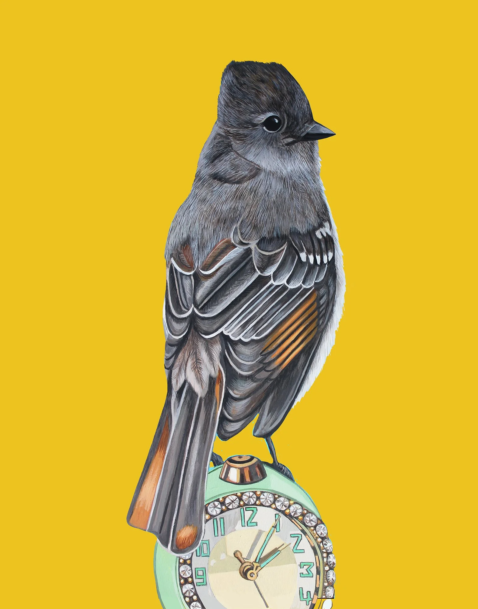 Ash- throated Flycatcher ( originally a painting)