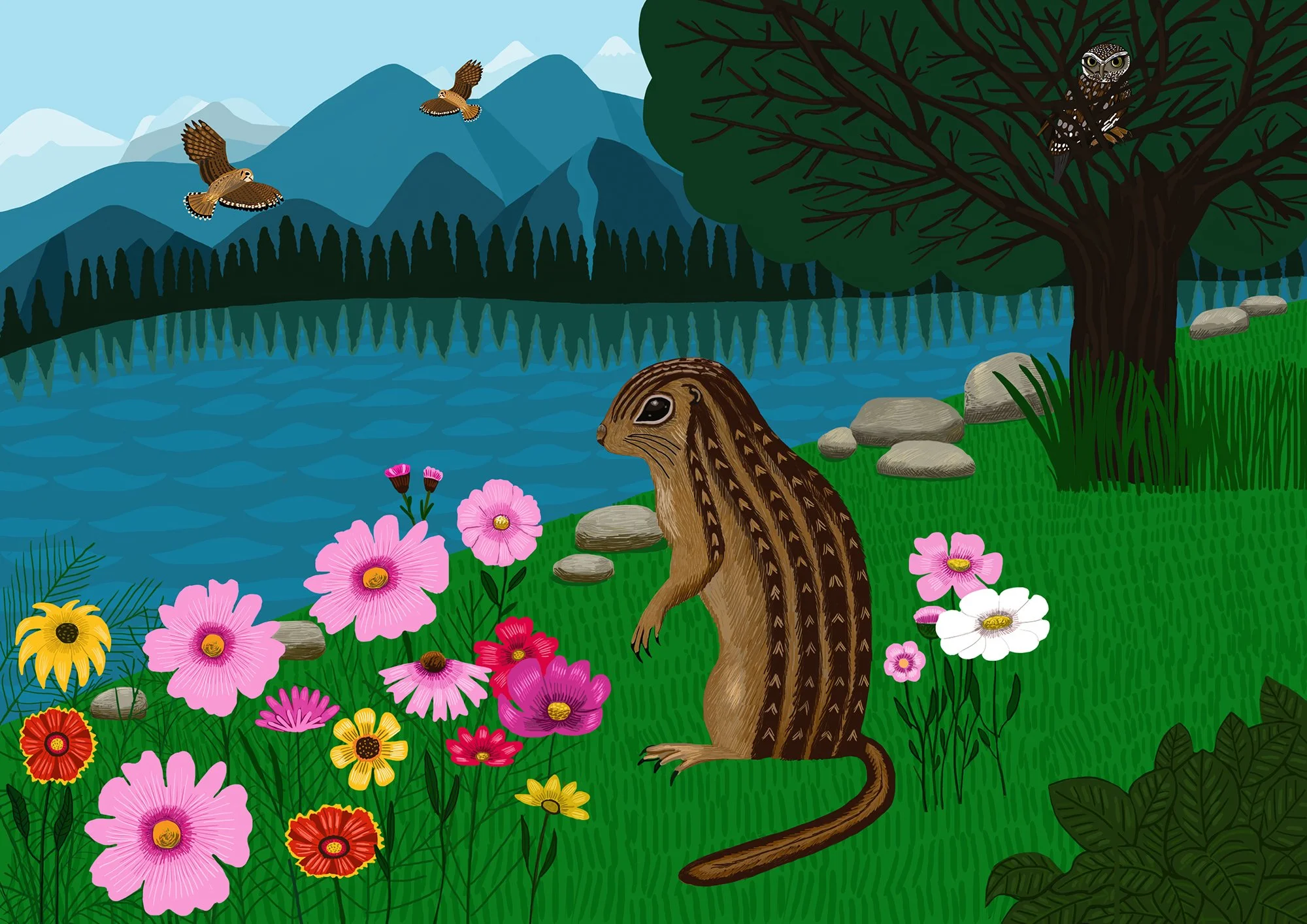 SQSPGroundSquirrell.jpg