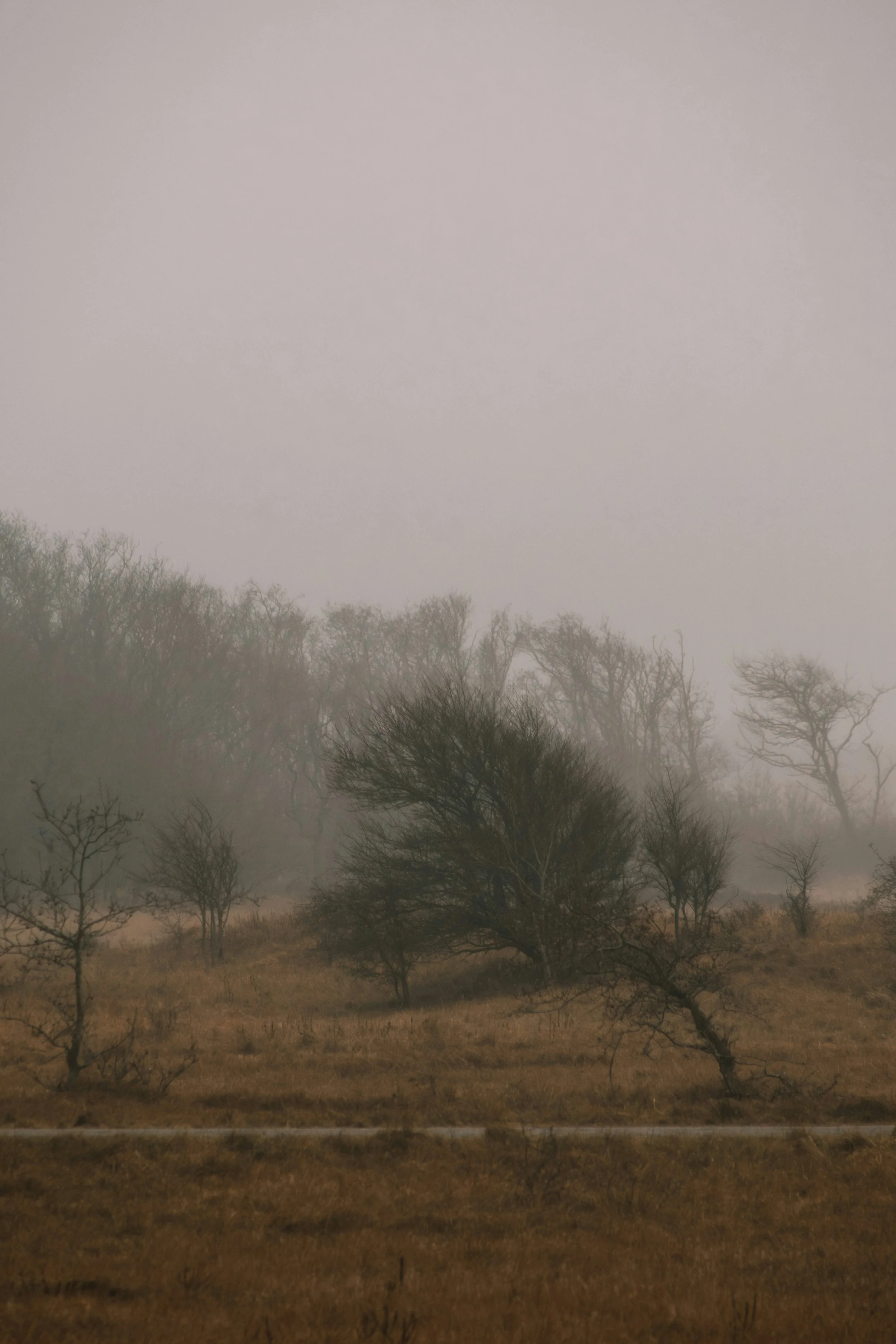 Akis Linardos on ecofiction