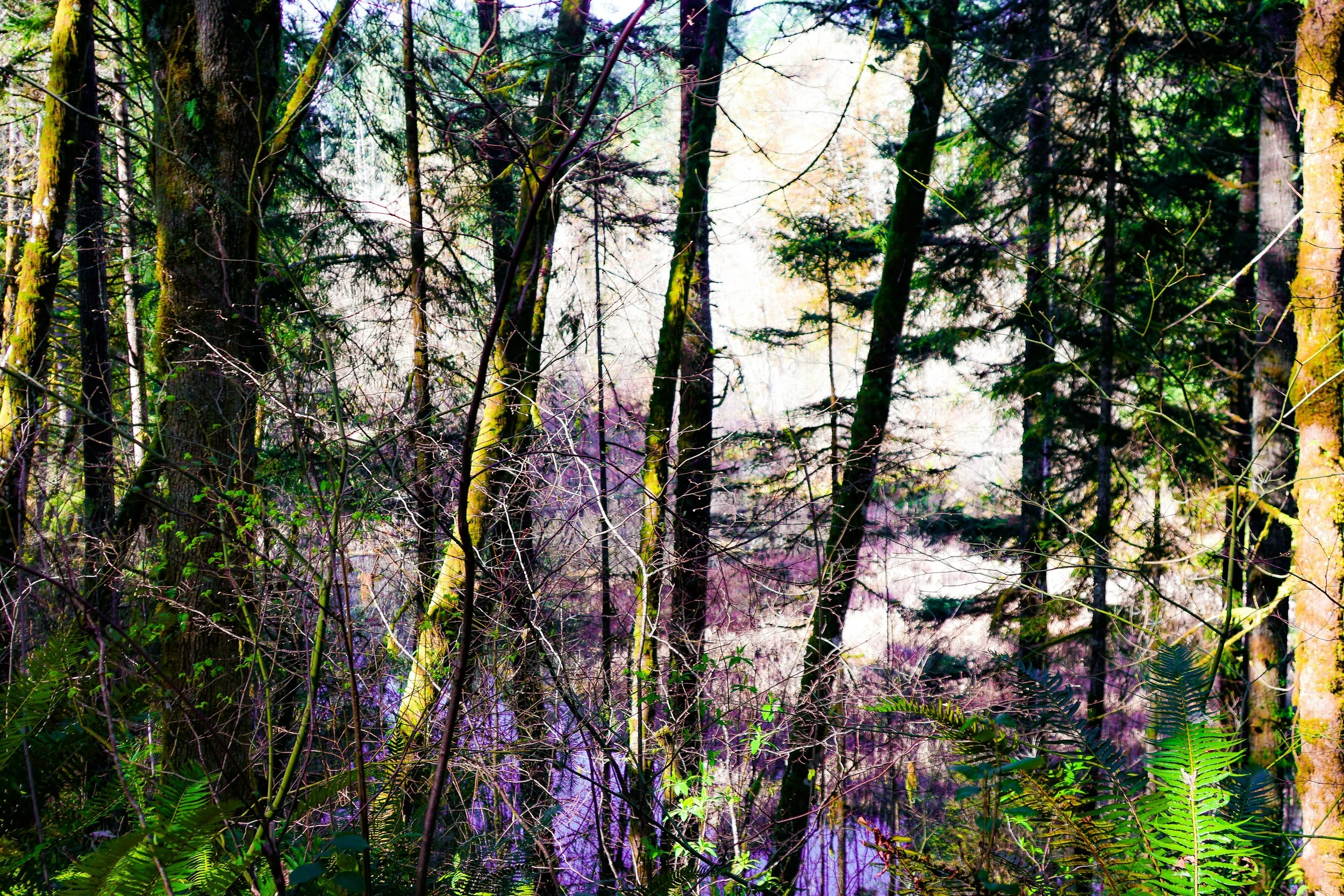 Maro Reus on Ecofiction