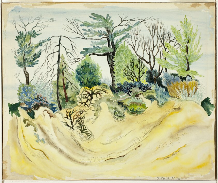 The Once-Green Forest of My Lungs