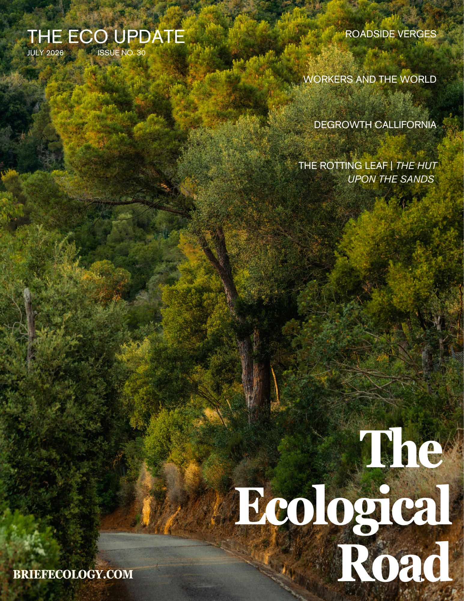 Issue Cover.png