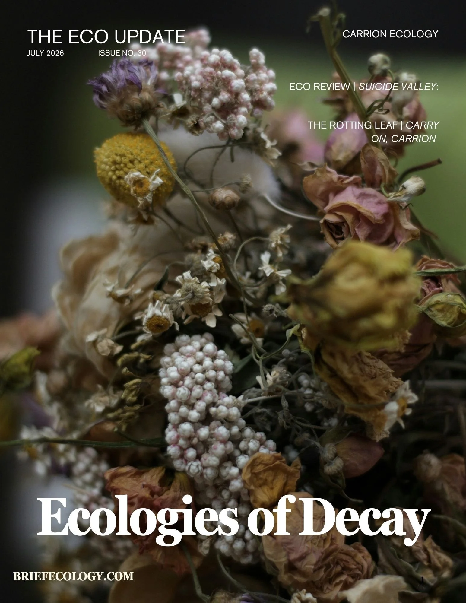 Cover.jpg
