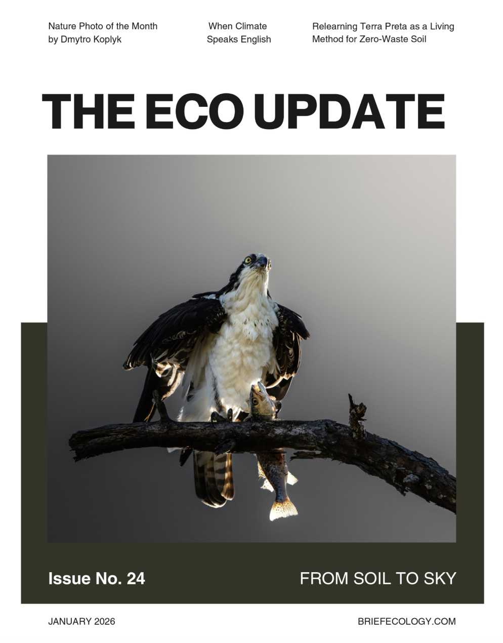 From Soil to Sky | The Eco Update 24