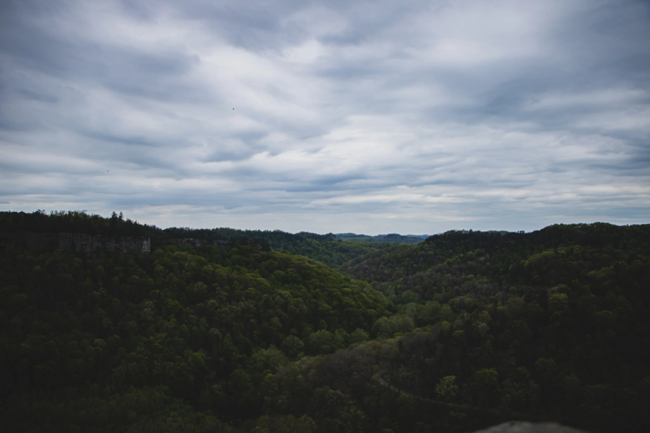 A view of a lush green forested valley with rolling hills under a cloudy sky.