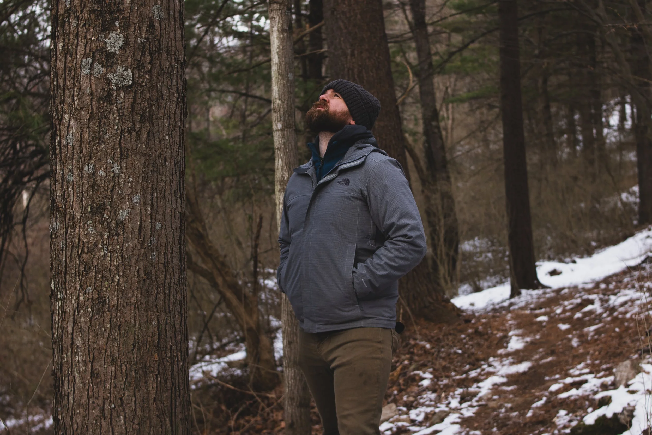 A man wearing a dark beanie and gray jacket standing in a snowy forest, looking upward.