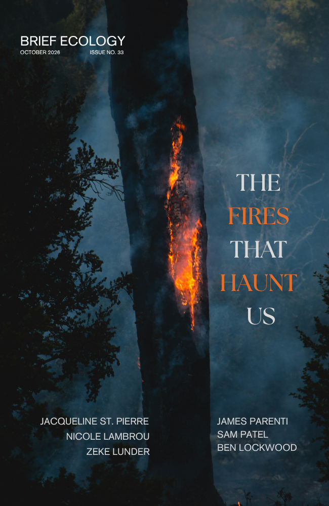 Cover 33.png