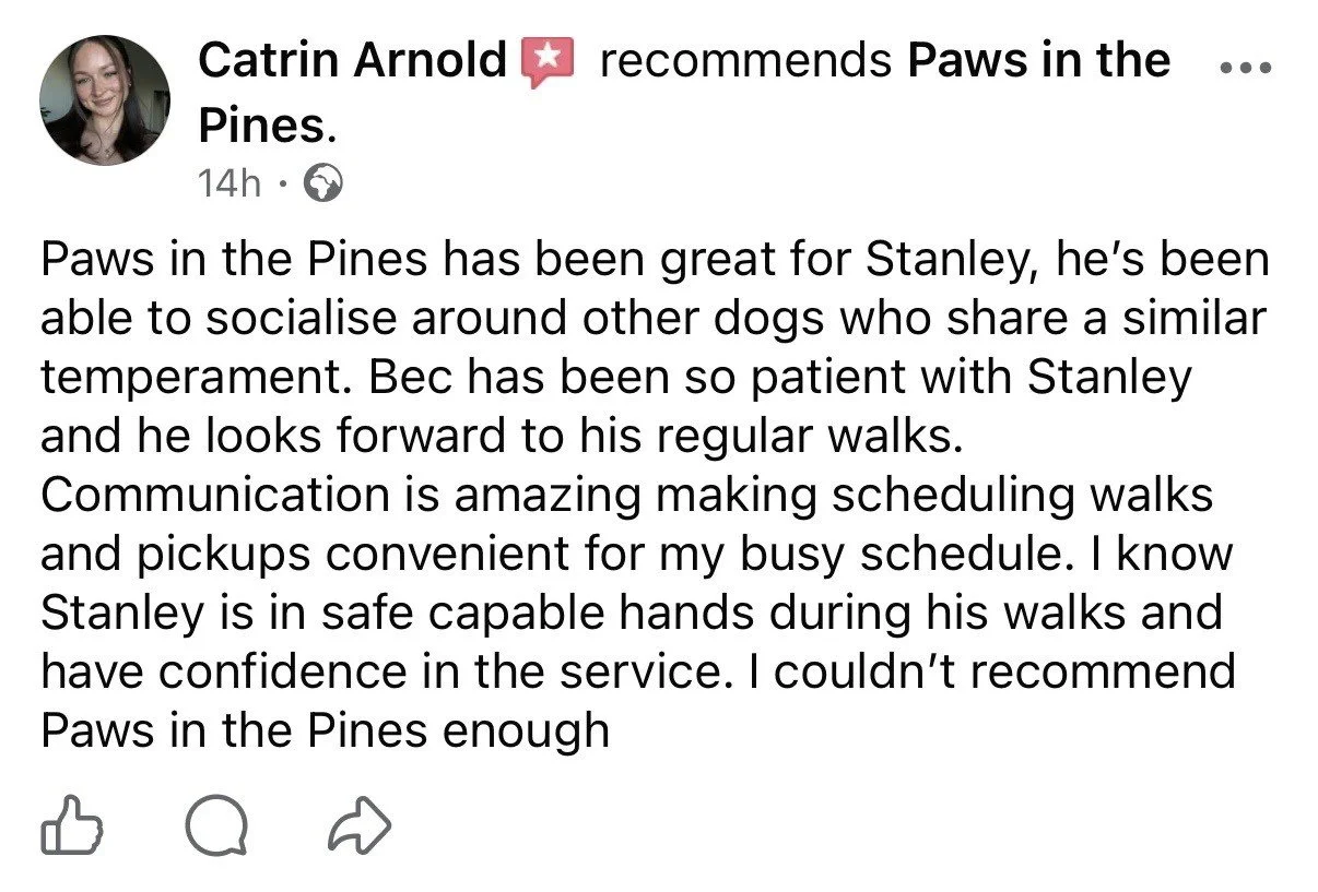Stanley's Mum