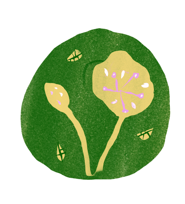 Transit Reading (60 minutes)