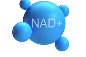 NAD+