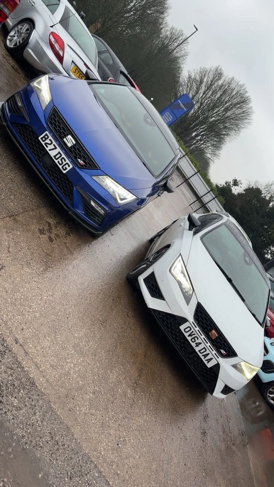 A parking lot with three cars: a blue car in front, flanked by two white cars, on a rainy day with overcast skies and wet pavement.