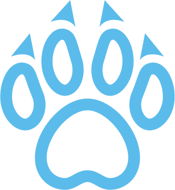 Blue paw print icon on a black background.
