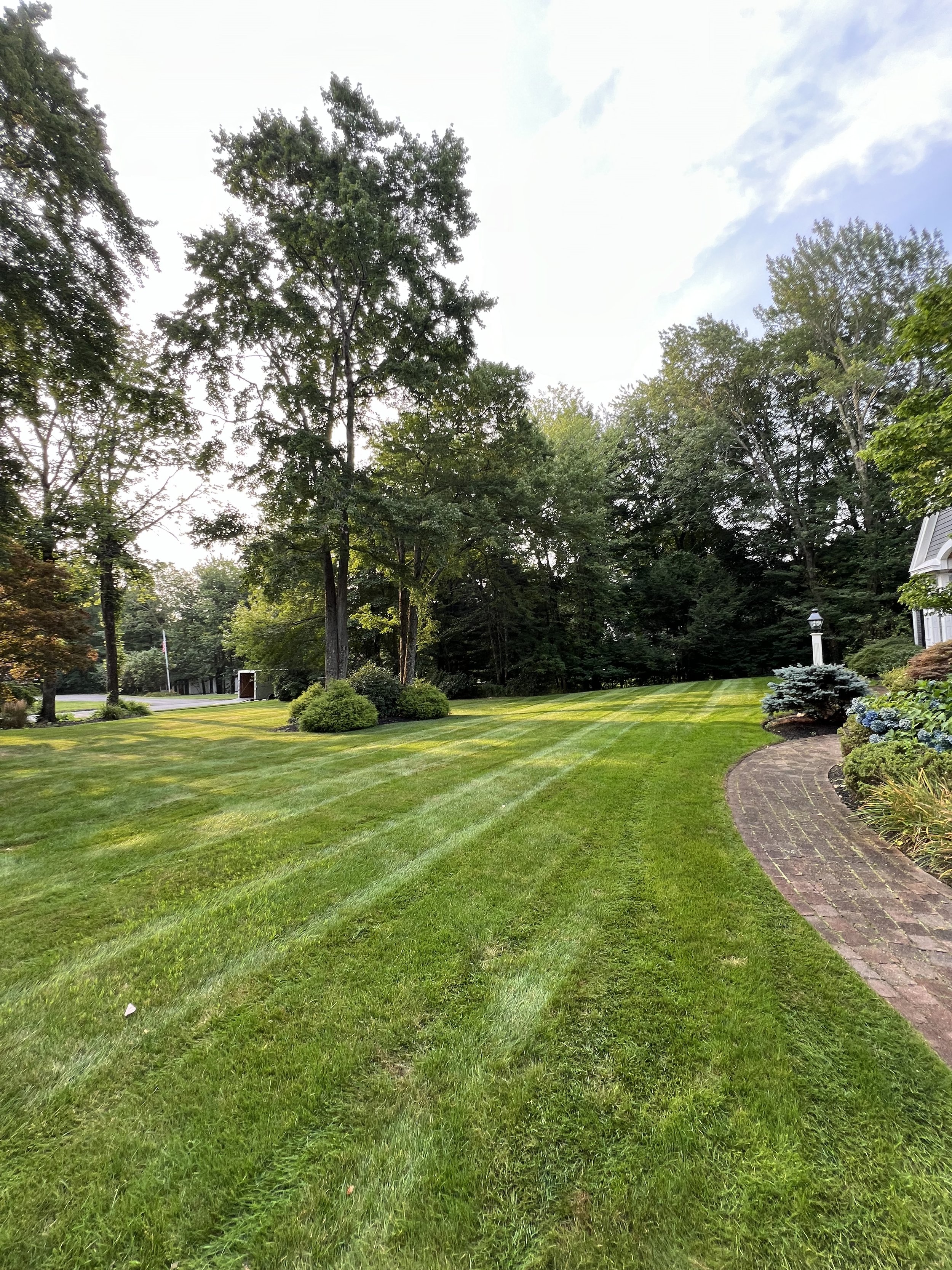 A well-maintained lawn with fresh green grass, bordered by a curved brick pathway on the right side, and surrounded by trees and bushes under a partly cloudy sky.