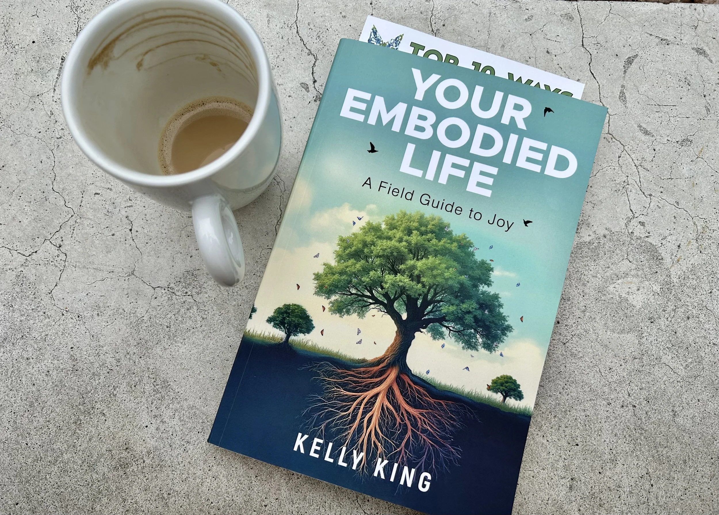 Upcoming: Your Embodied Life Book Talk