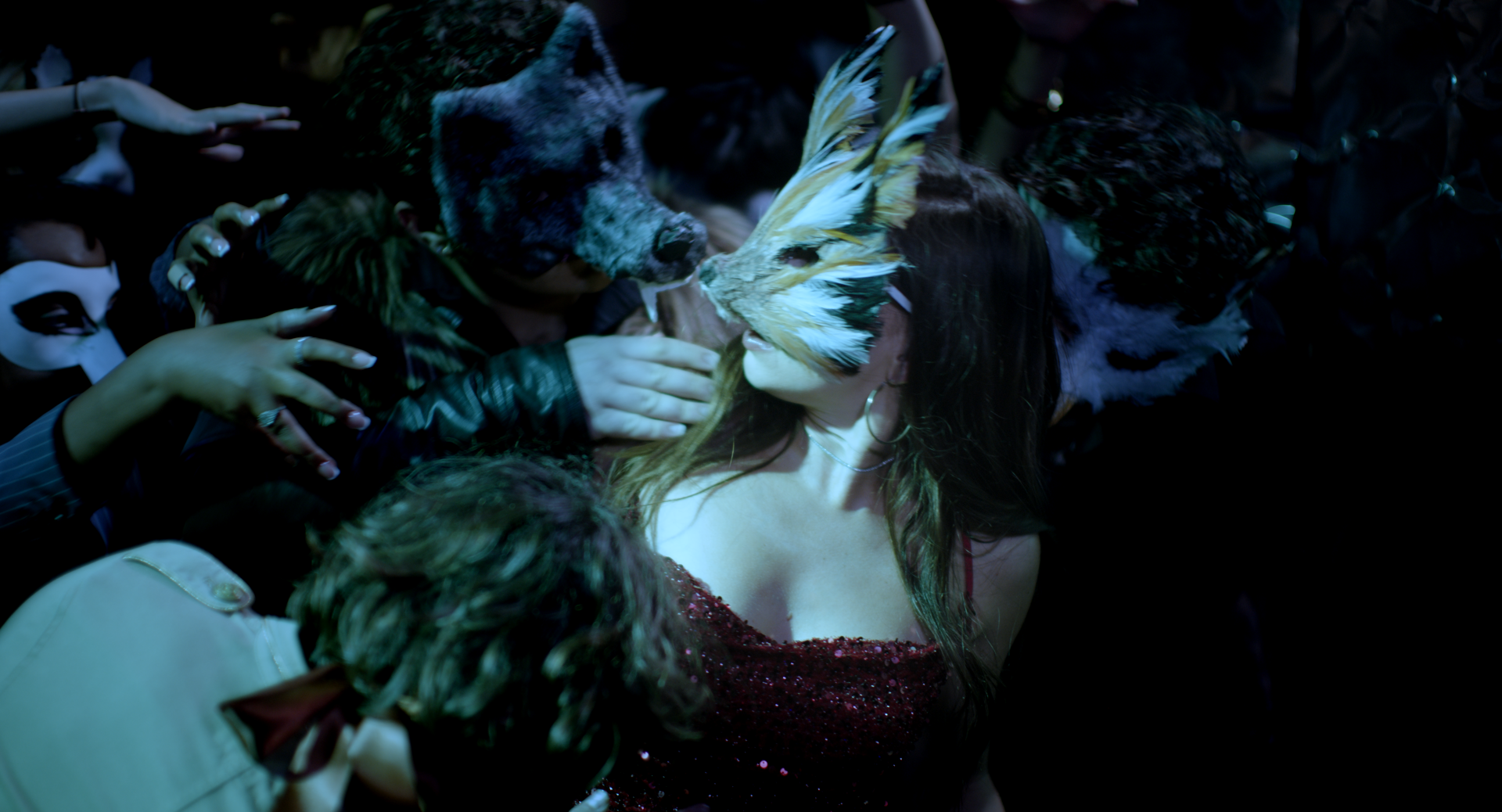 Corgy Party V3 2.33.2.png