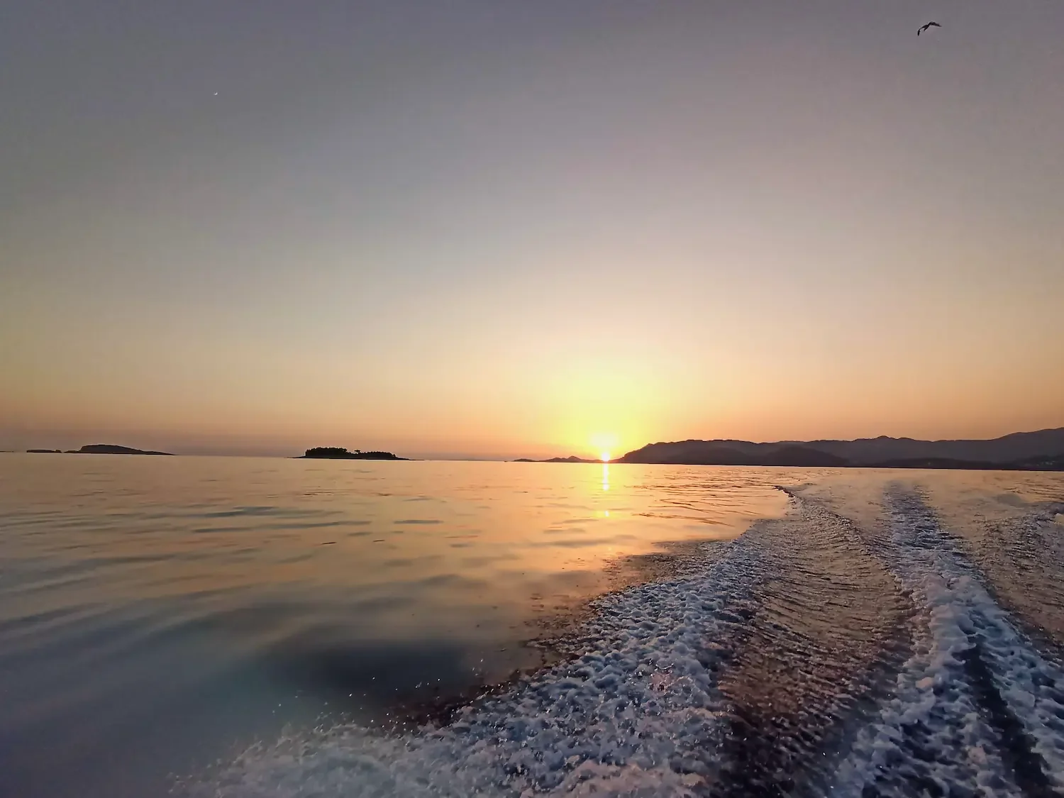Golden hour sunset cruise with Local Boats Cavtat, view from the boat wake.