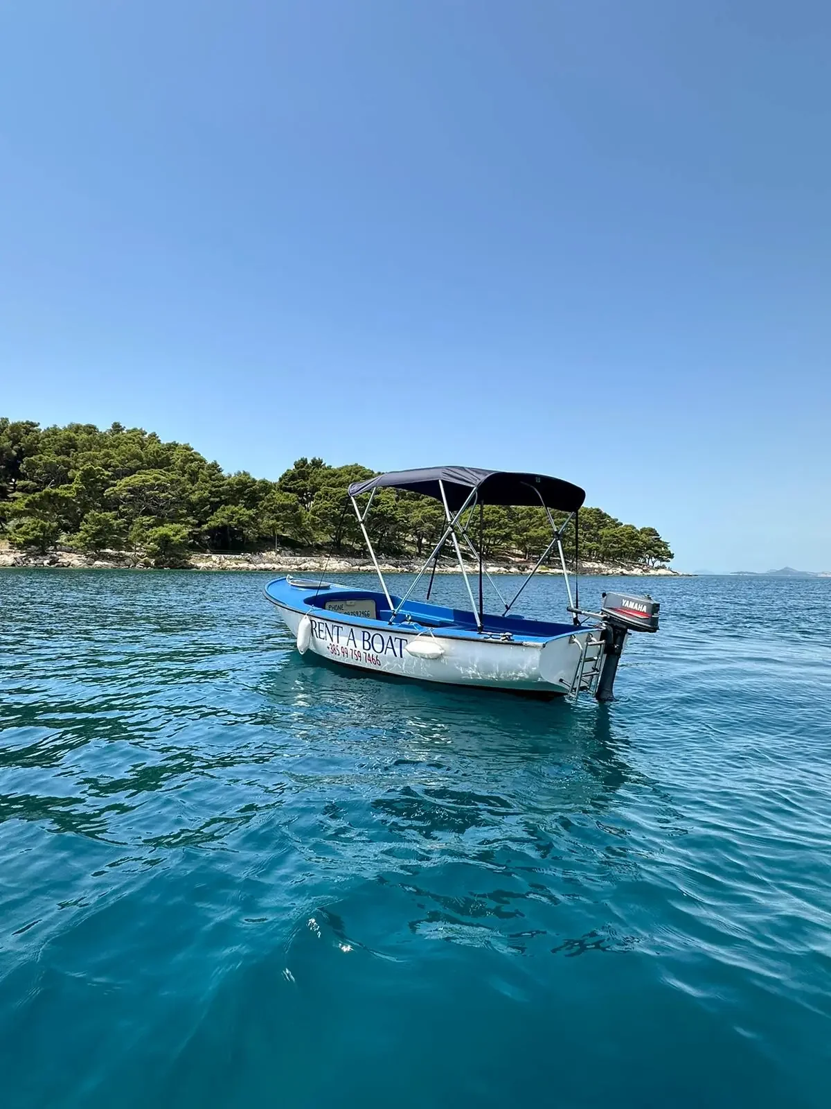 Local Boats Cavtat rental boat floating in the crystal clear Adriatic sea near a pine island.
