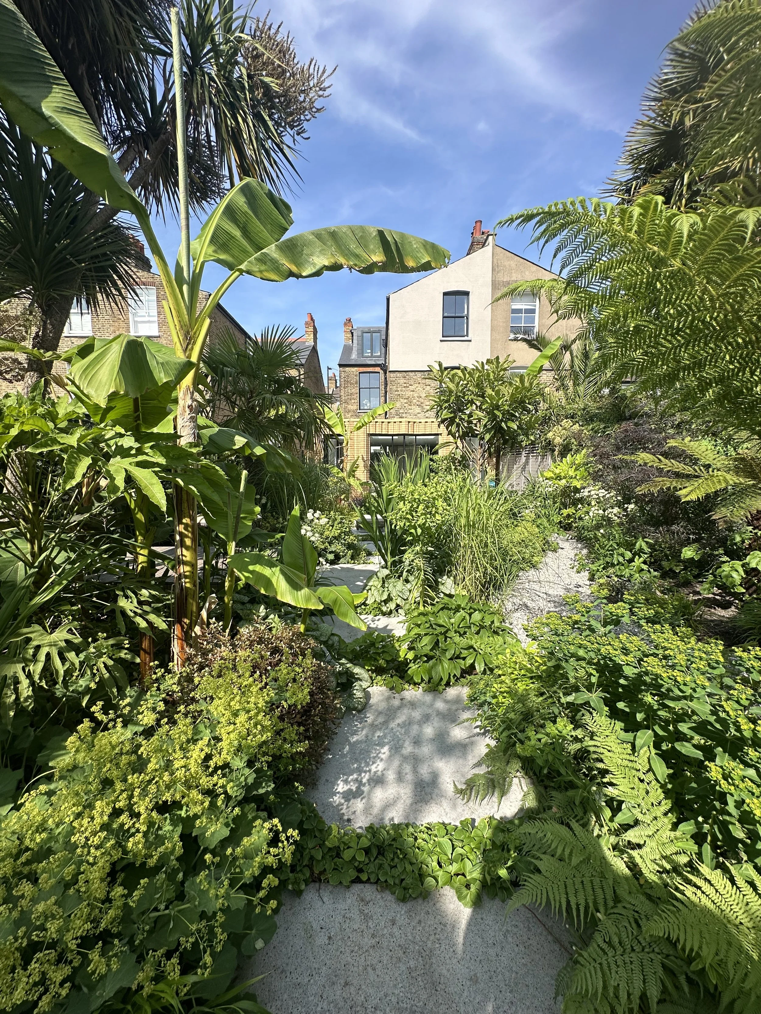 A lush garden path with large green tropical plants and ferns, leading to residential buildings under a blue sky with some clouds.