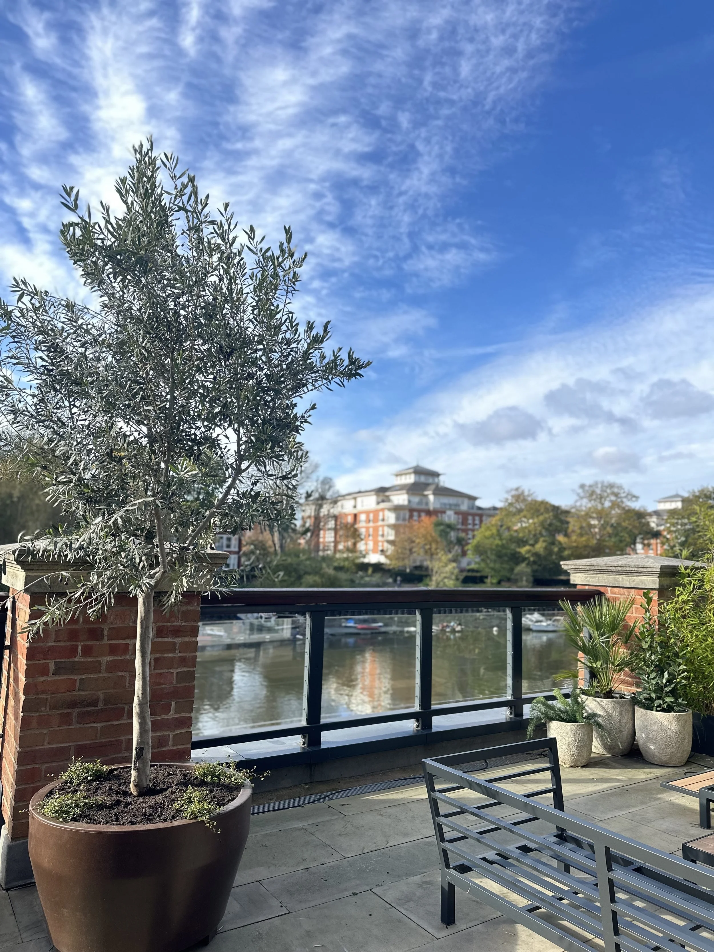 View of a terrace with potted plants overlooking a river and buildings in the background, under a partly cloudy blue sky.