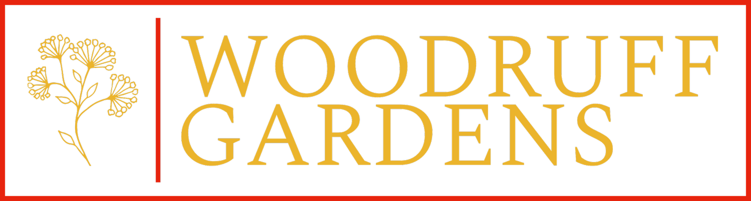 Woodruff Gardens - London Garden Design &amp; Maintenance