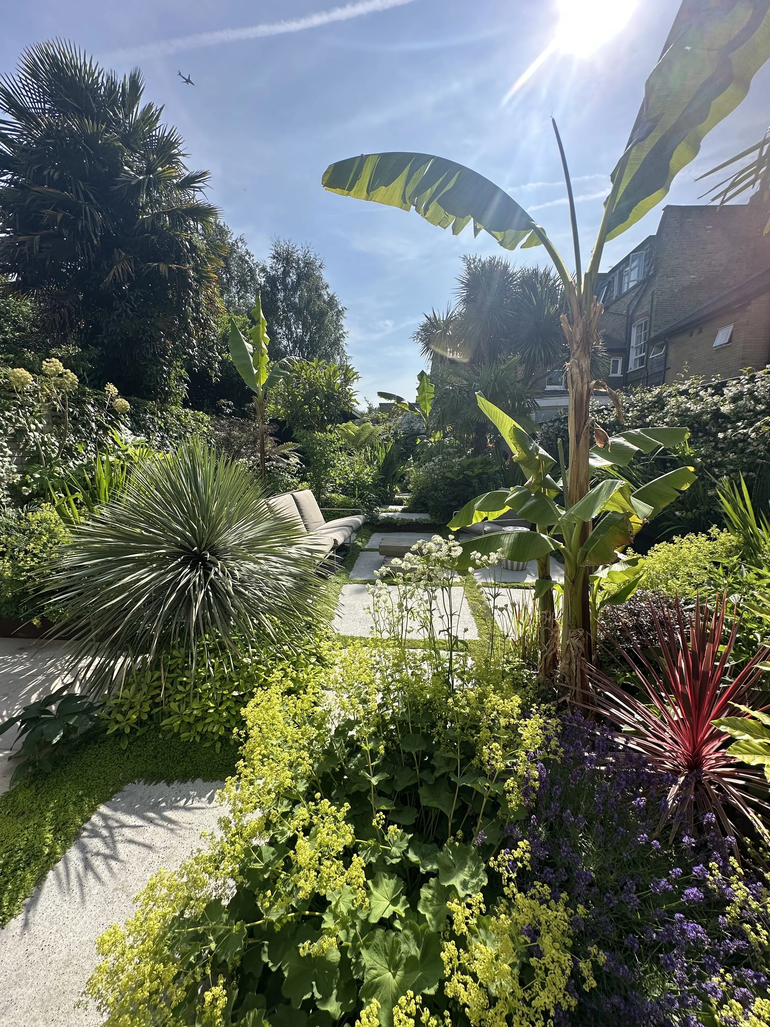 A lush, vibrant garden with tropical plants, including banana trees, yucca, and various colorful flowers, under a bright sunny sky with clouds and a plane flying overhead.