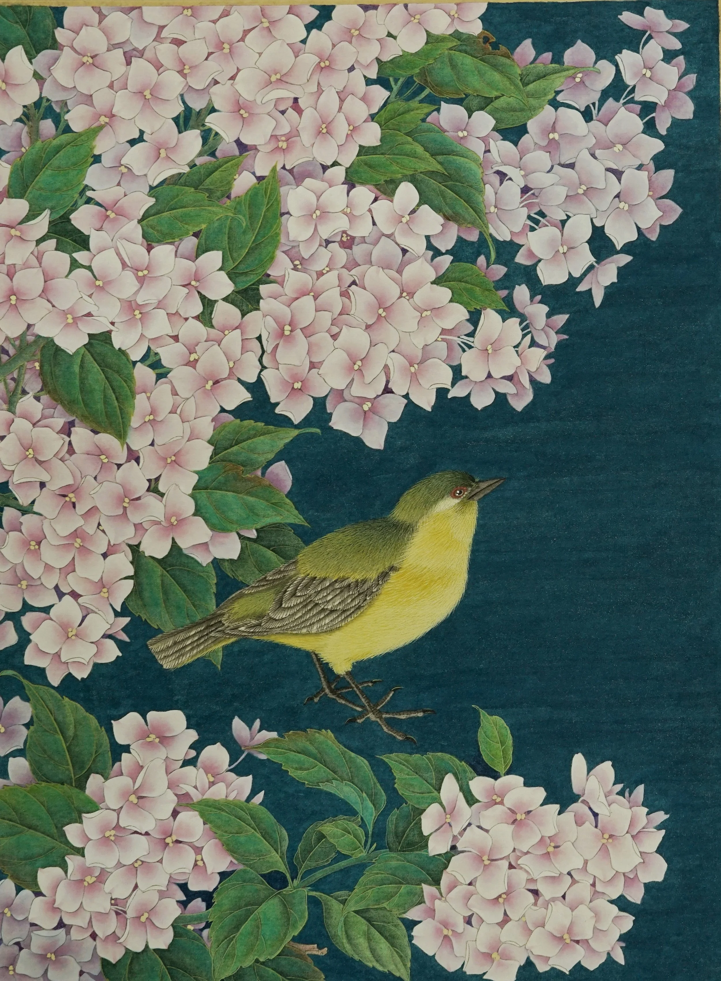 Pink Hydrangea 1--
Silk board 绢卡/
11.6 x 15.6 in / 30 x 40 cm/
2025