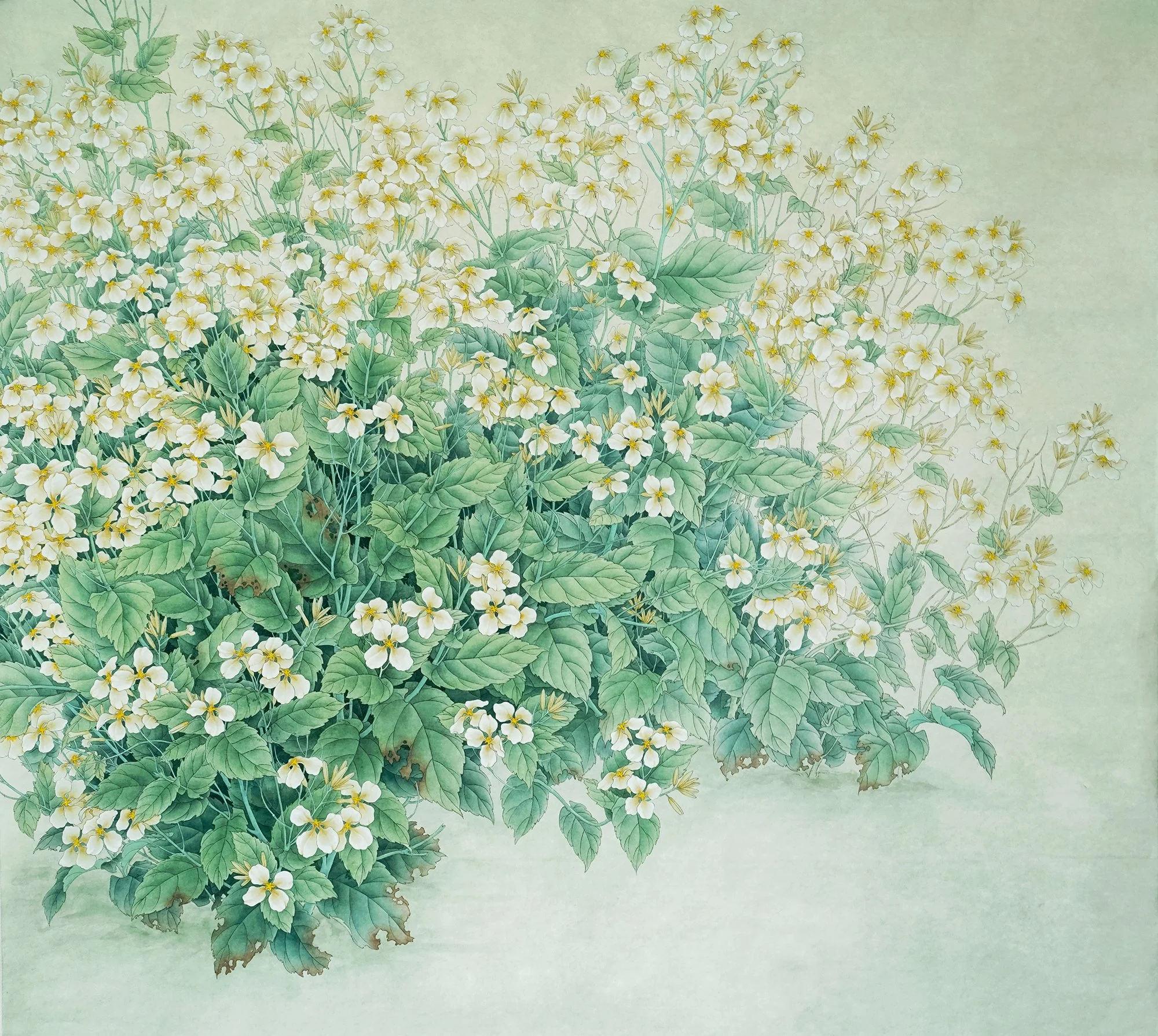 Early Spring February 早春二月--
ink and colour on Xuan paper/
36 ½  x 35 ½ in/93 x 90 cm/
2019