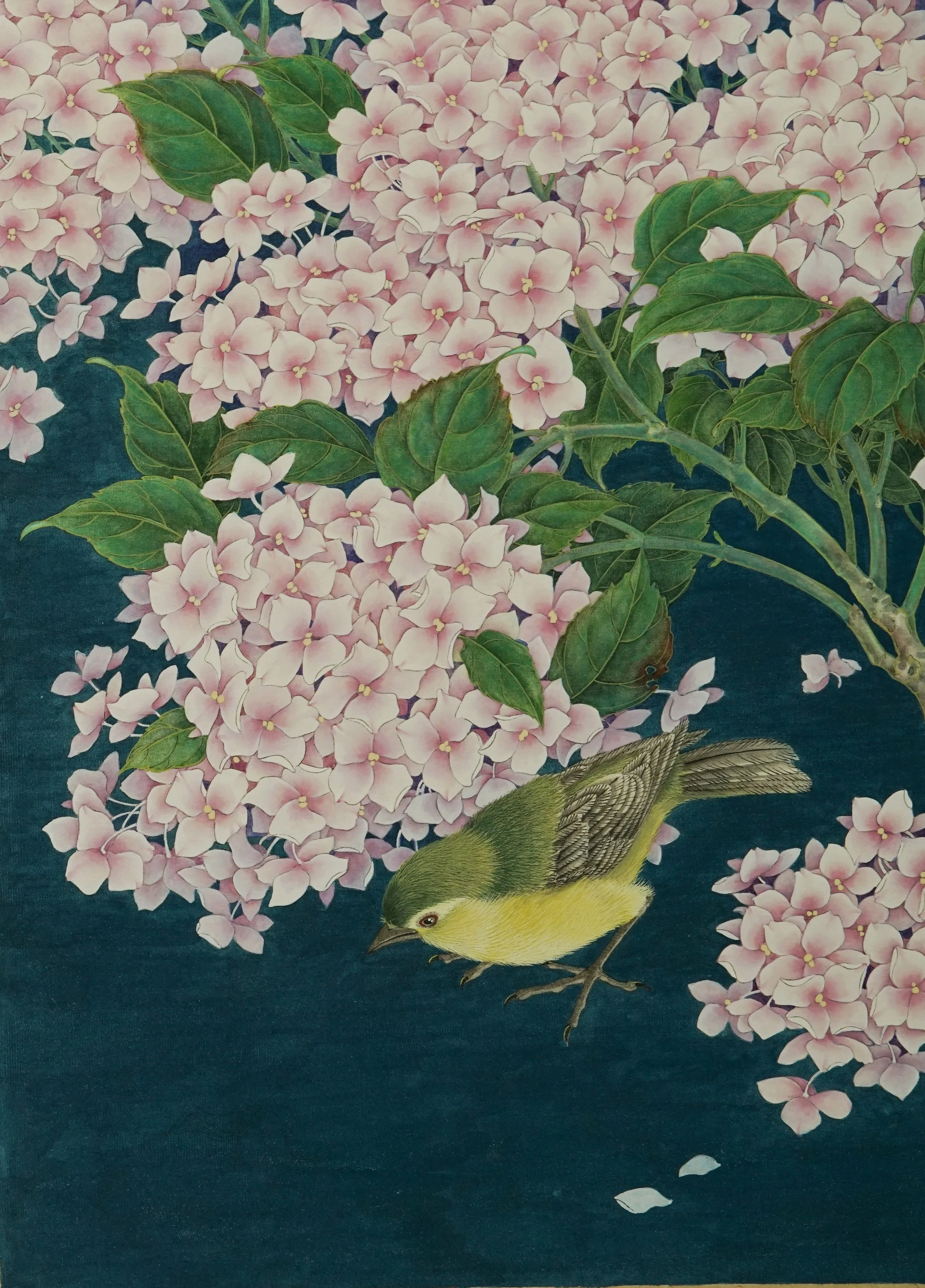 Pink Hydrangea 2 --
Silk board 绢卡/
11.6 x 15.6 in / 30 x 40 cm/
2025