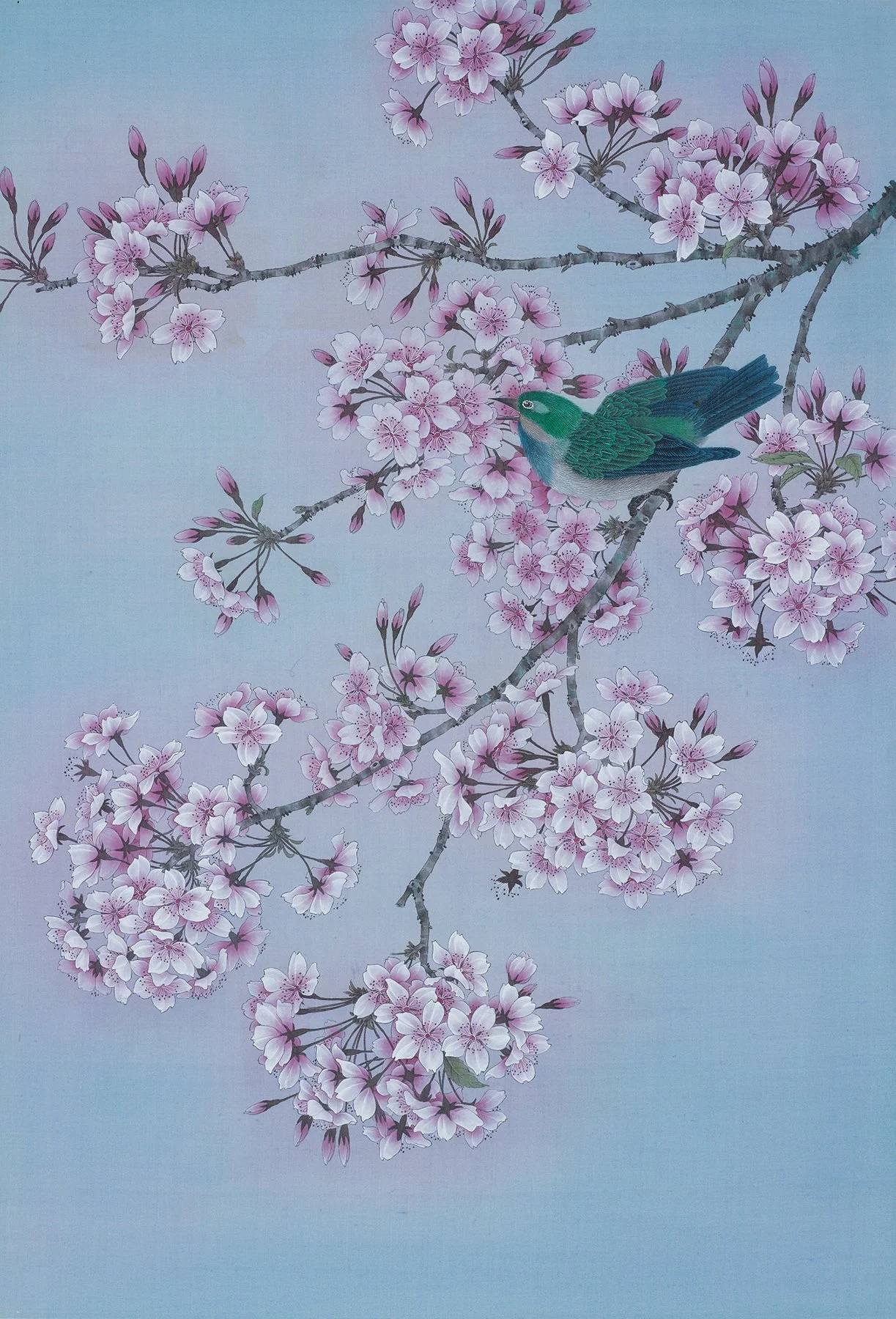 Bird & Sakura 樱花山雀--
ink and colour on silk/
17 x 25 in/43 x 64 cm/
2021