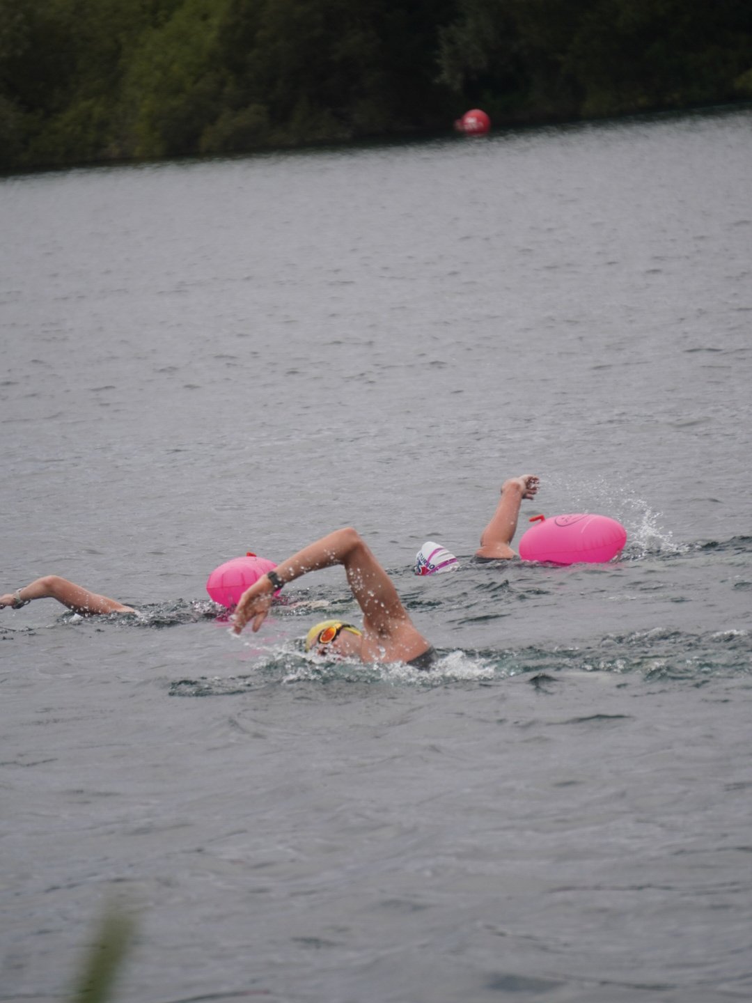 Personalised Swim Training Program