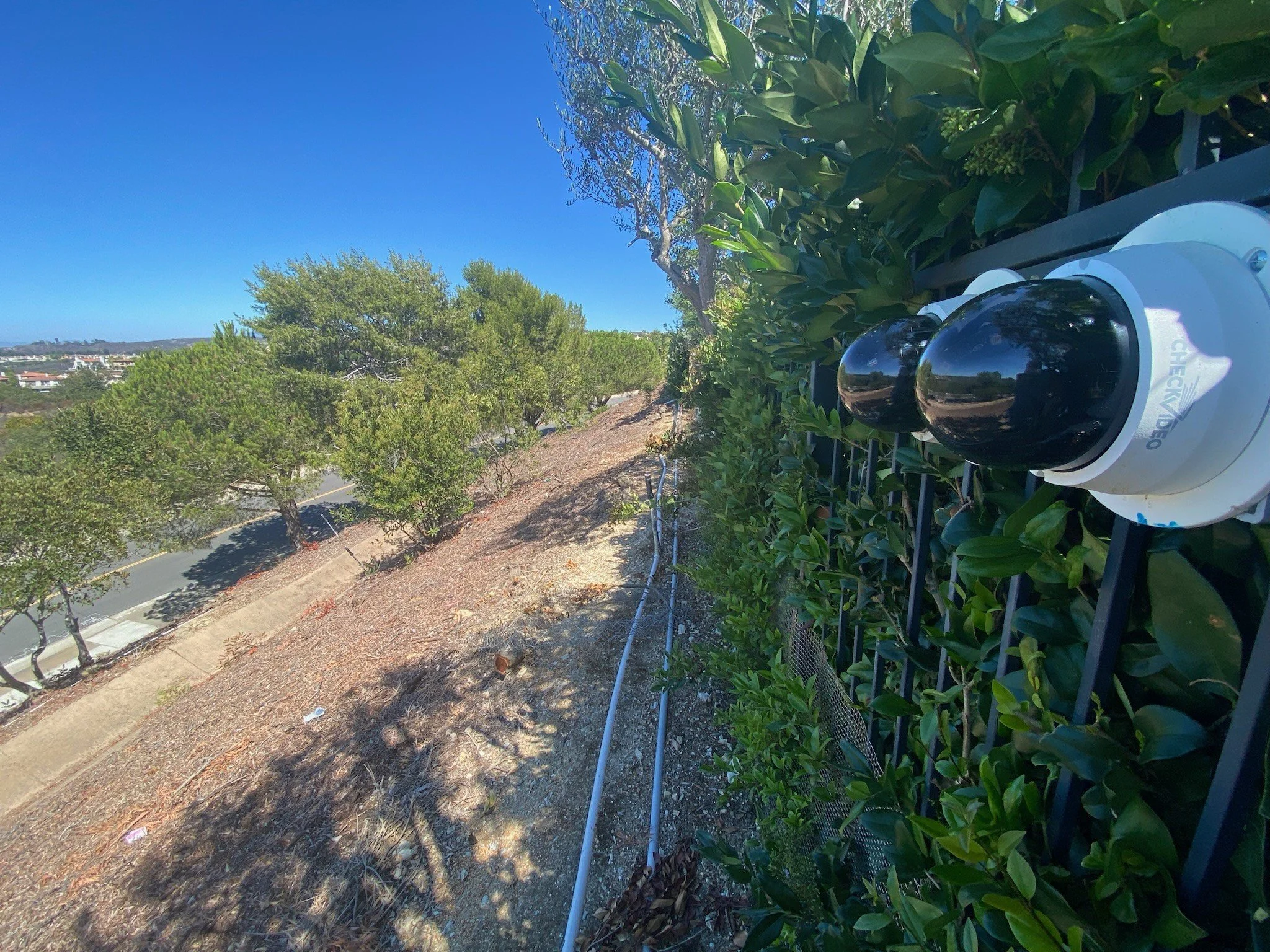 Long‑Range Cameras mounted on a black metal fence, with trees, a curb, road and clear blue sky in the background.