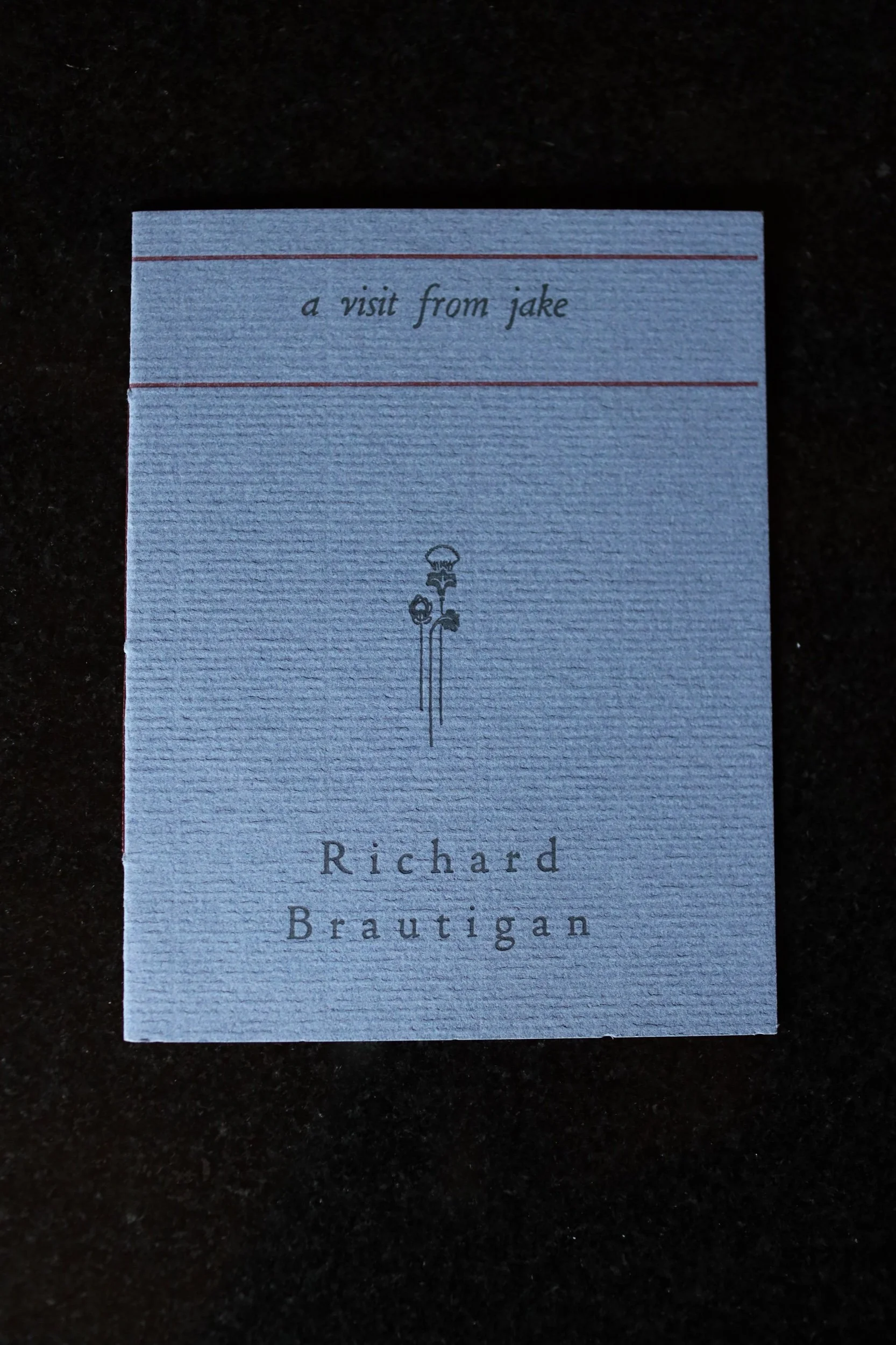 A Visit from Jake by Richard Brautigan