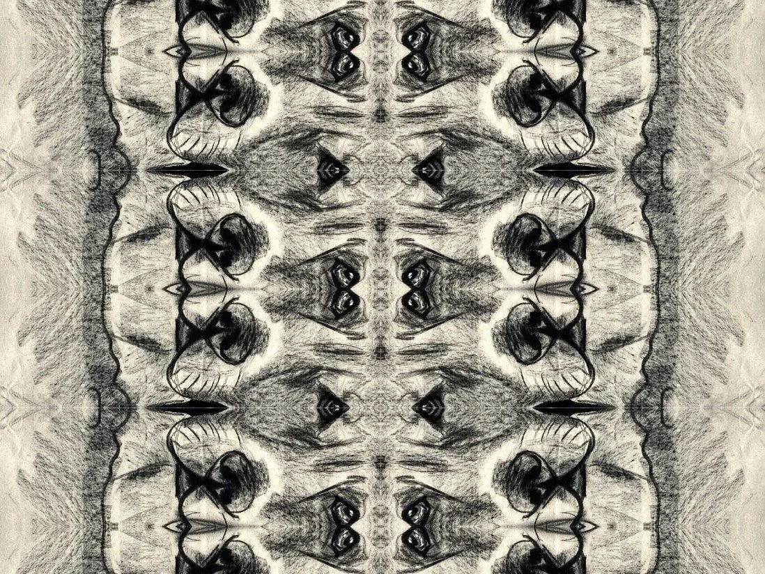 un sabueso en la cocina, digital collage, 2026