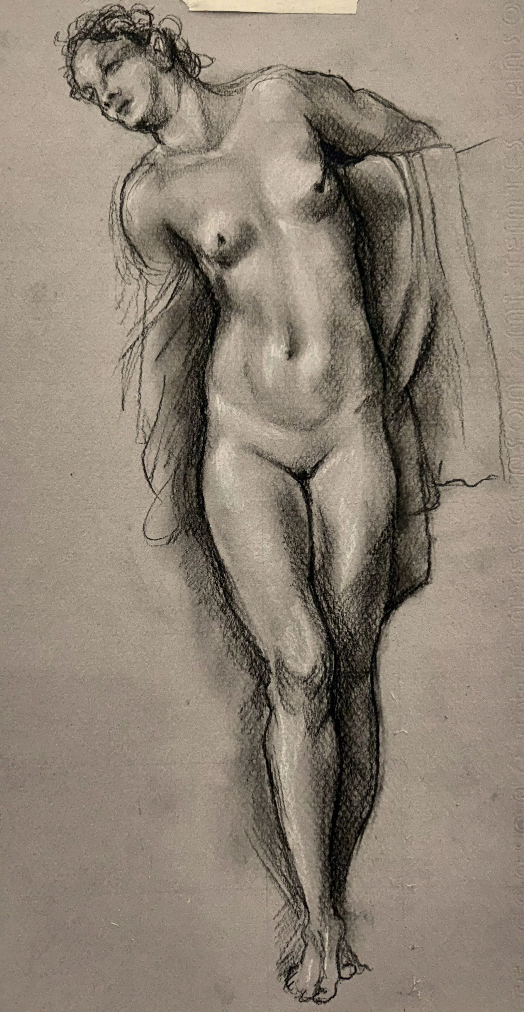 Estudio Histórico de la Mujer