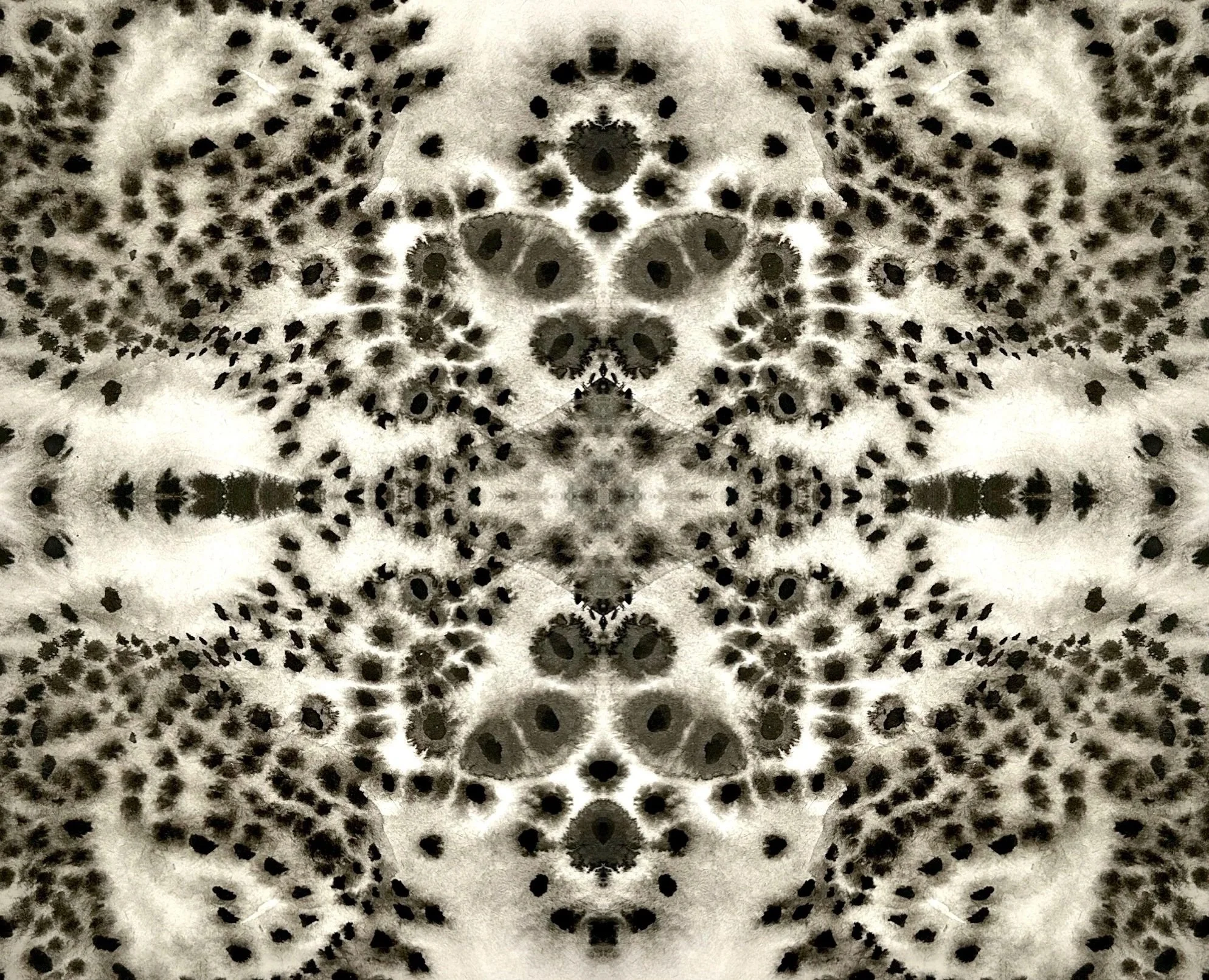 lenguajes complejos I, digital collage, 2026