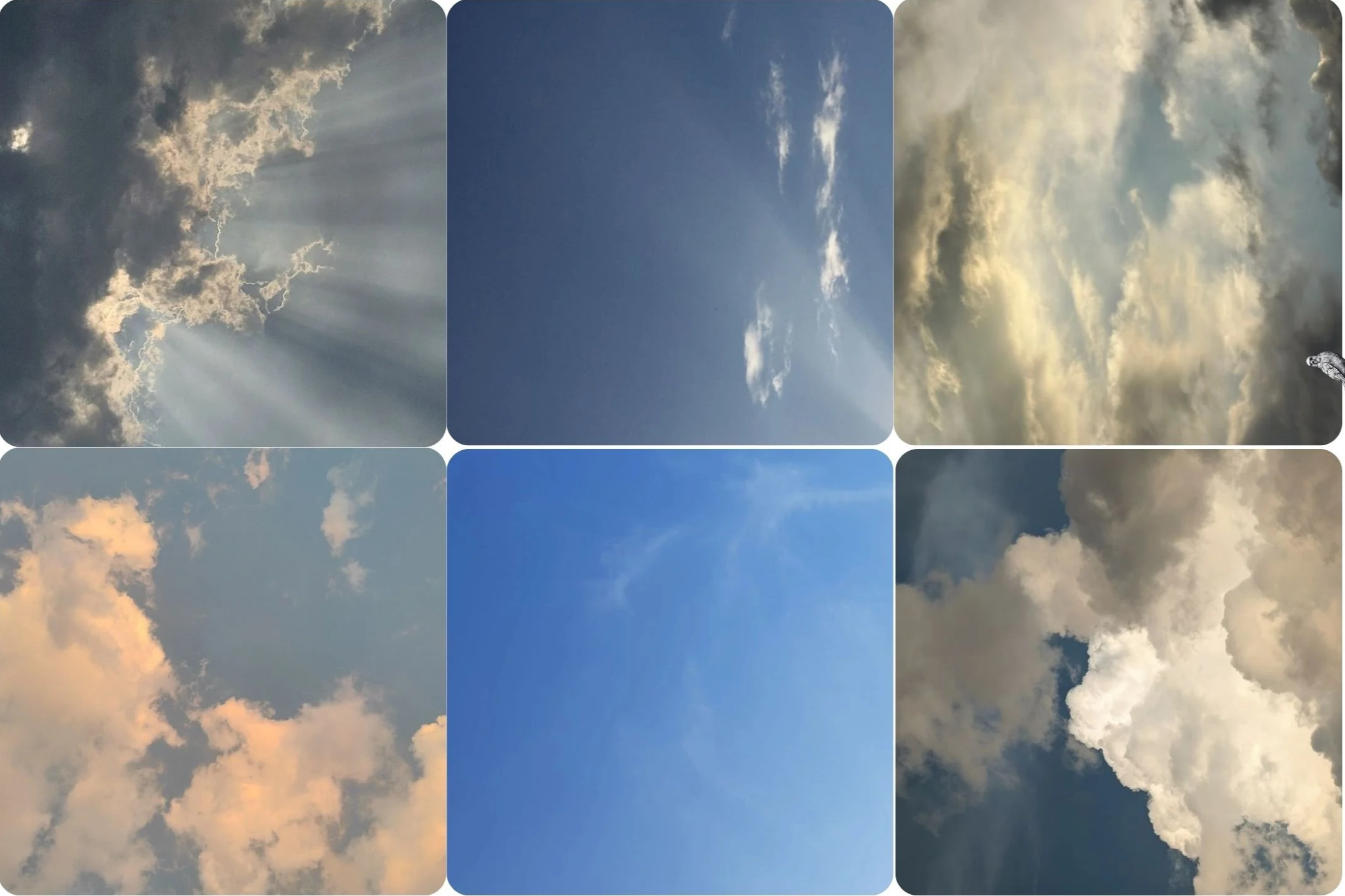 IMG_4827.png