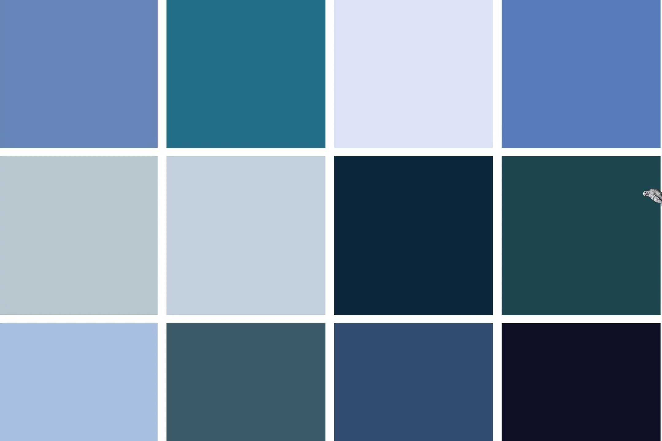 IMG_4820.png