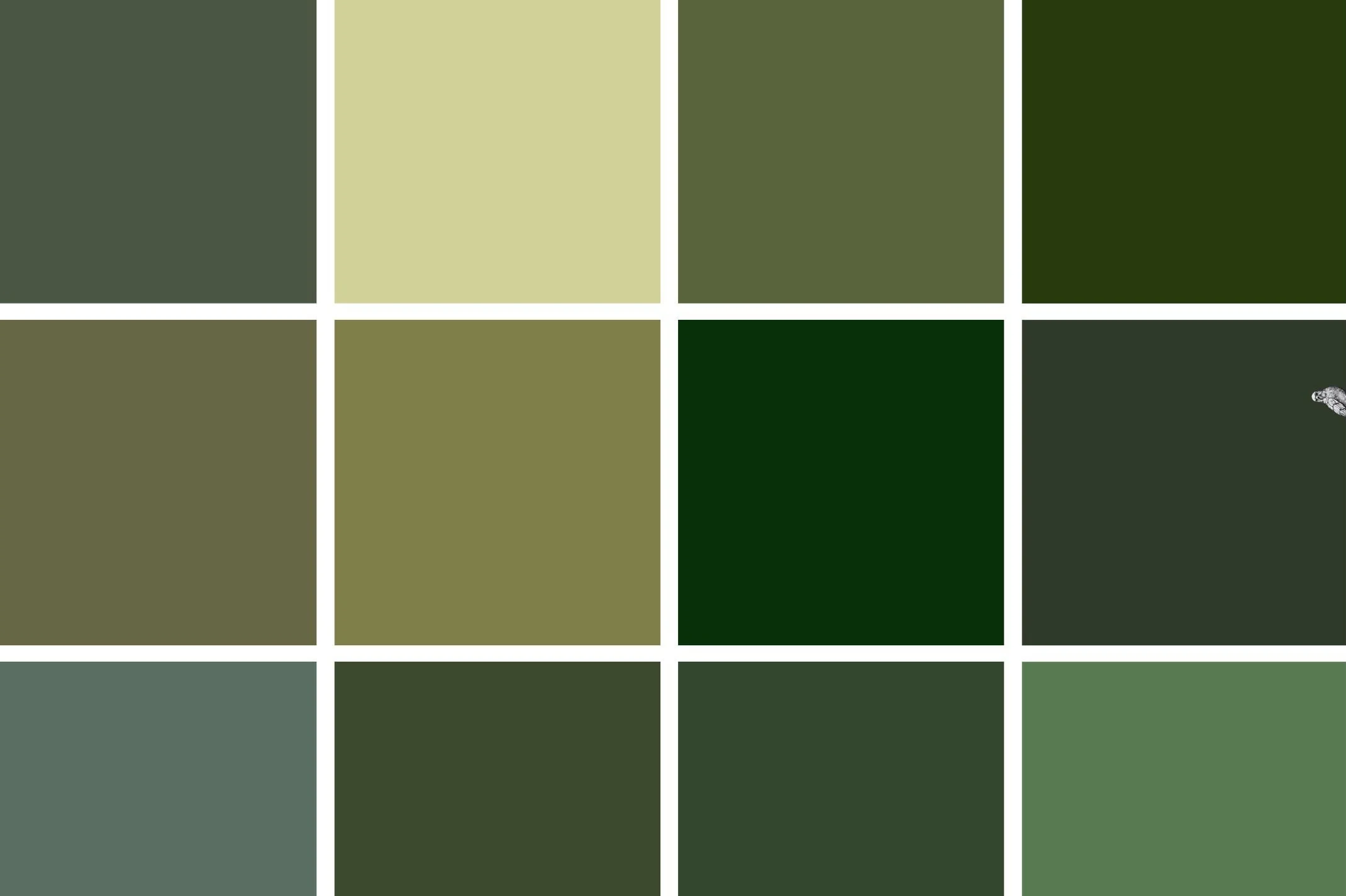 IMG_4821.png