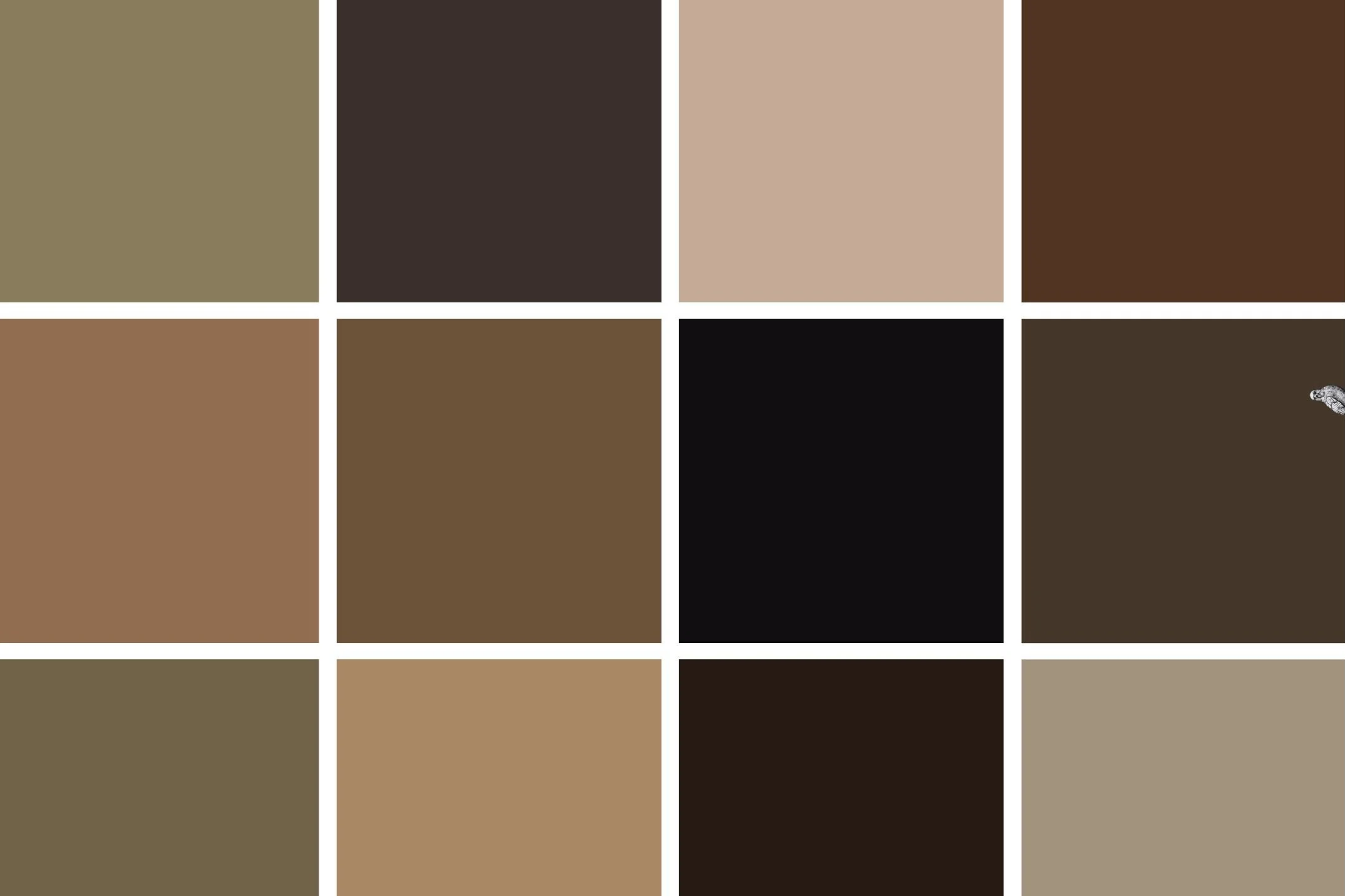 IMG_4822.png