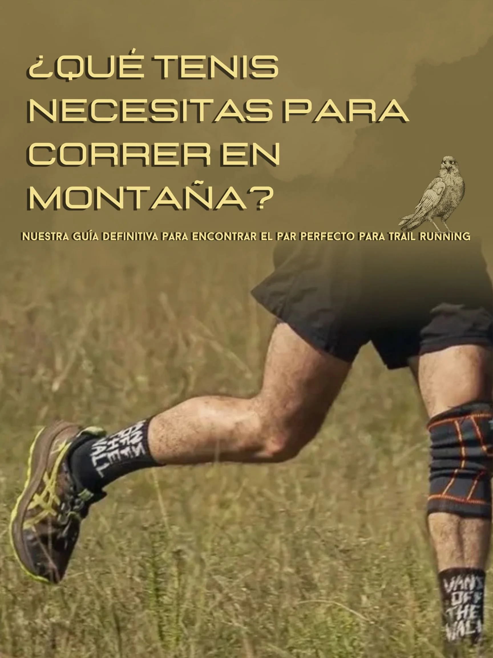 moodboard alta vista.jpg