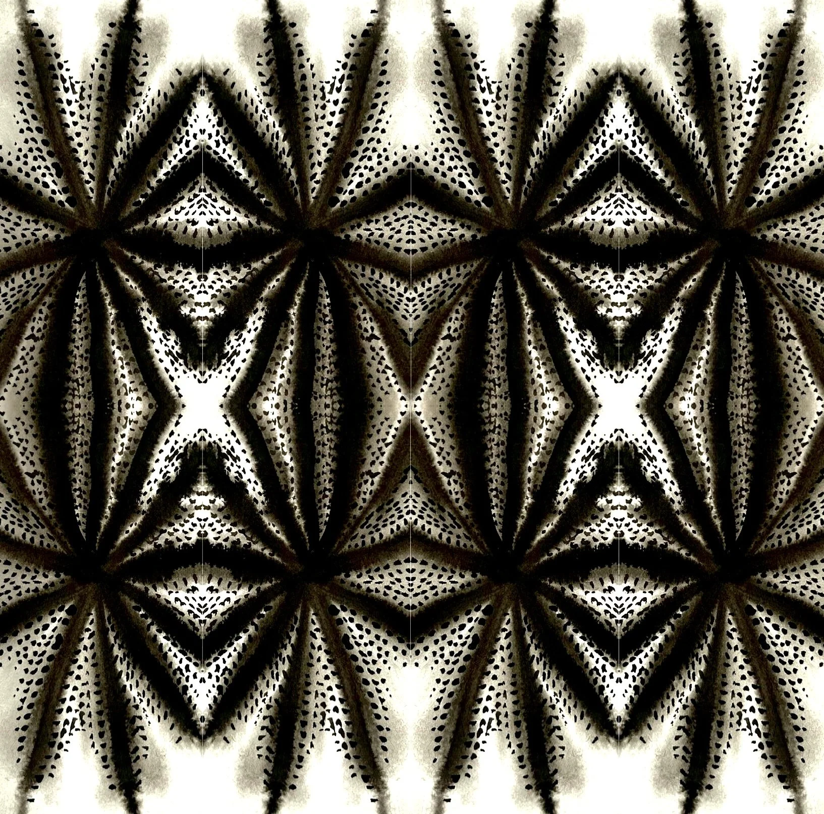 lenguajes complejos VI, digital collage, 2026