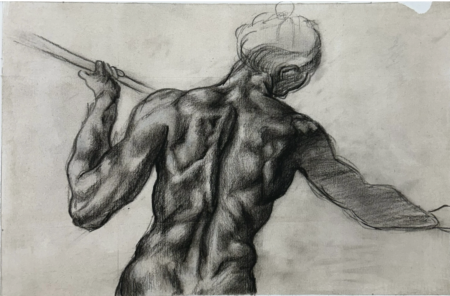 estudio histórico del hombre, charcoal on paper, 2024