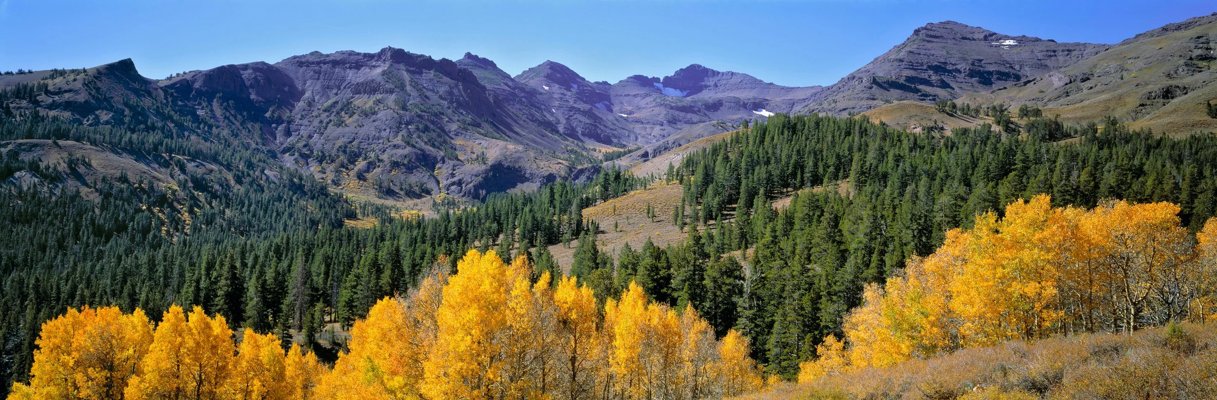 A mountain landscape with green pine trees and yellow autumn trees in the foreground, rugged mountain peaks in the background, and a clear blue sky.