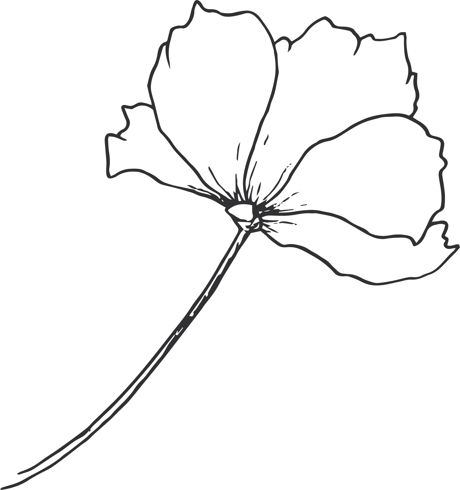Geometric drawing of an outline square with sections divided by vertical, horizontal, and circle lines.