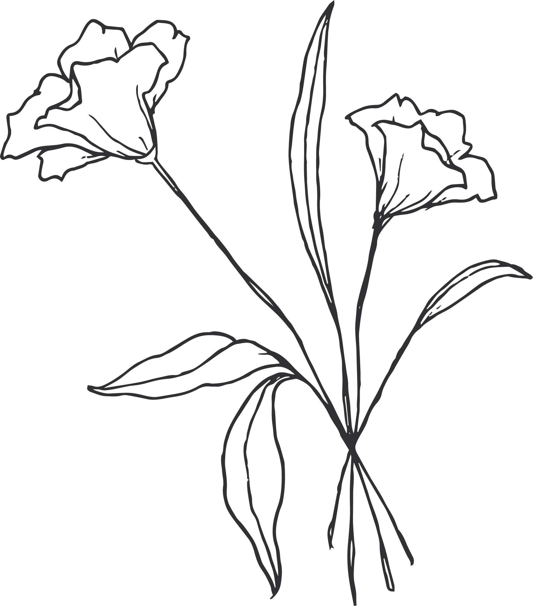 Geometric drawing of an outline square with sections divided by vertical, horizontal, and diagonal lines.
