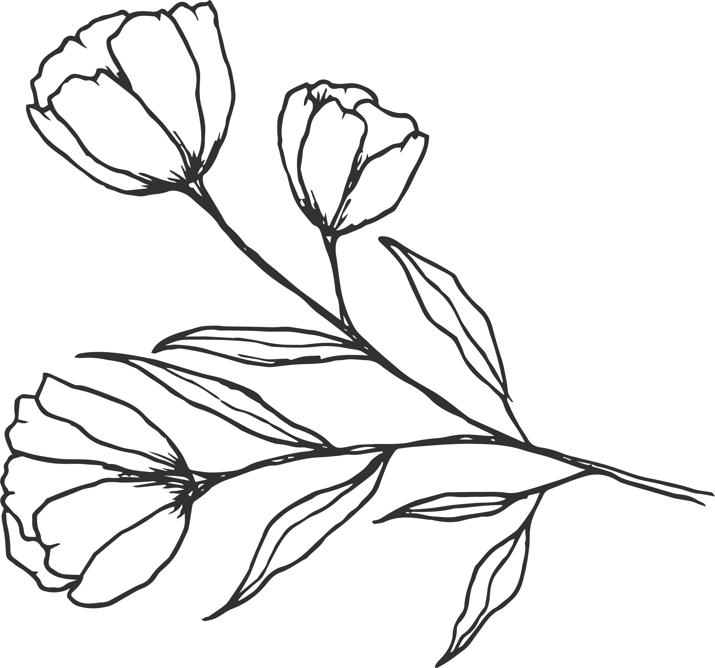 Geometric drawing of an outline square with sections divided by vertical, horizontal, and half circle lines.