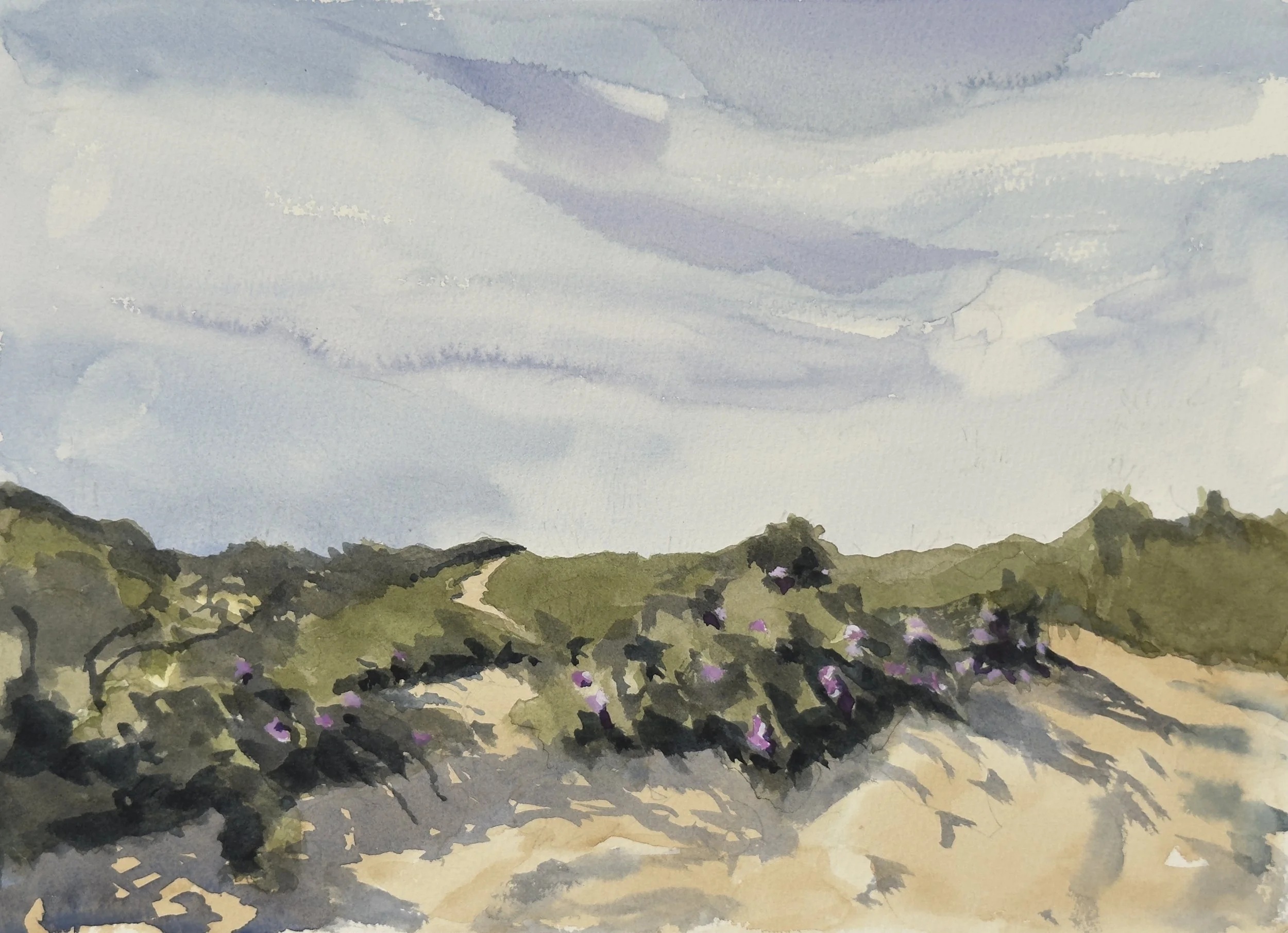 “Dune Path,” 10”x14” Outer Cape, watercolor, pencil, and gouache, 2026 $300