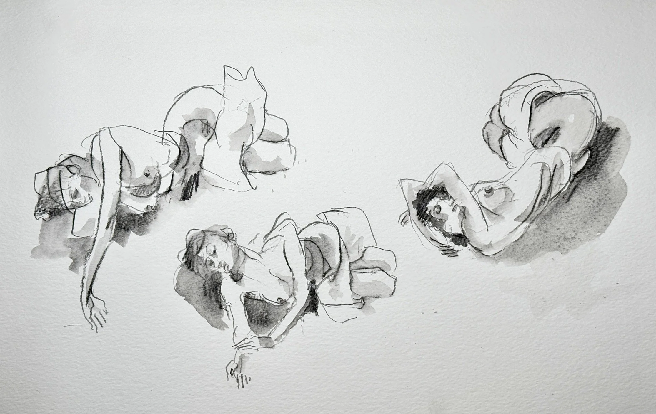 "Nicole Draped," 12"x18" graphite and wash 2026 $250