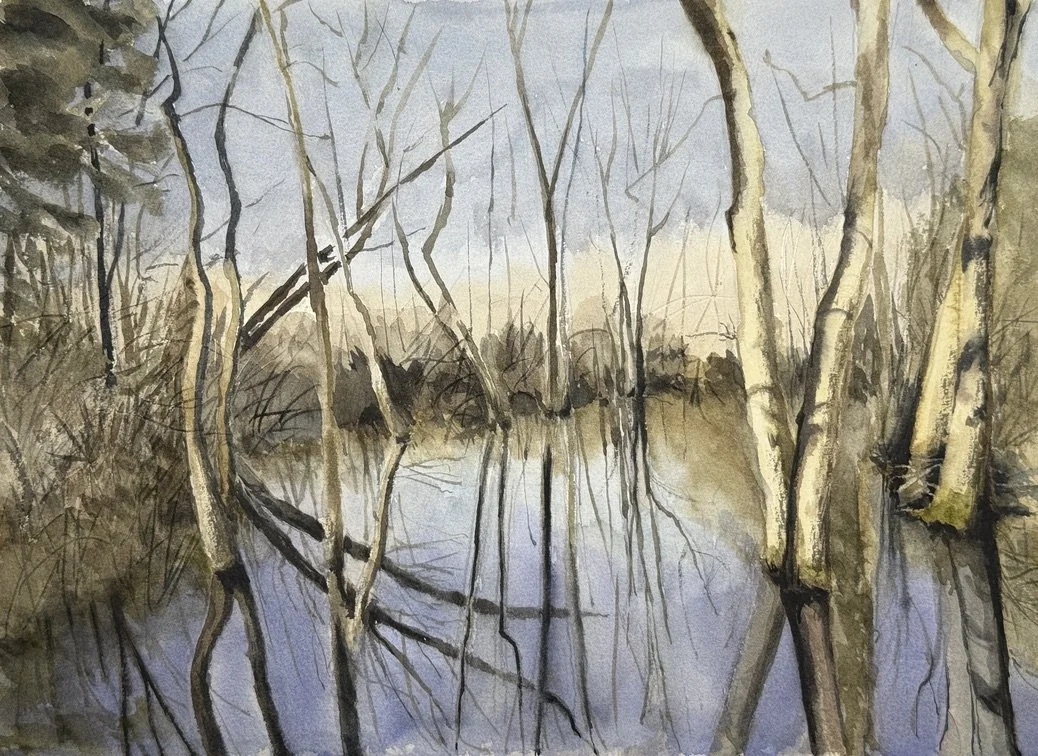 "Duets," watercolor and pencil, 10"x14" 2026 Blue Hills, Milton                                                           $300